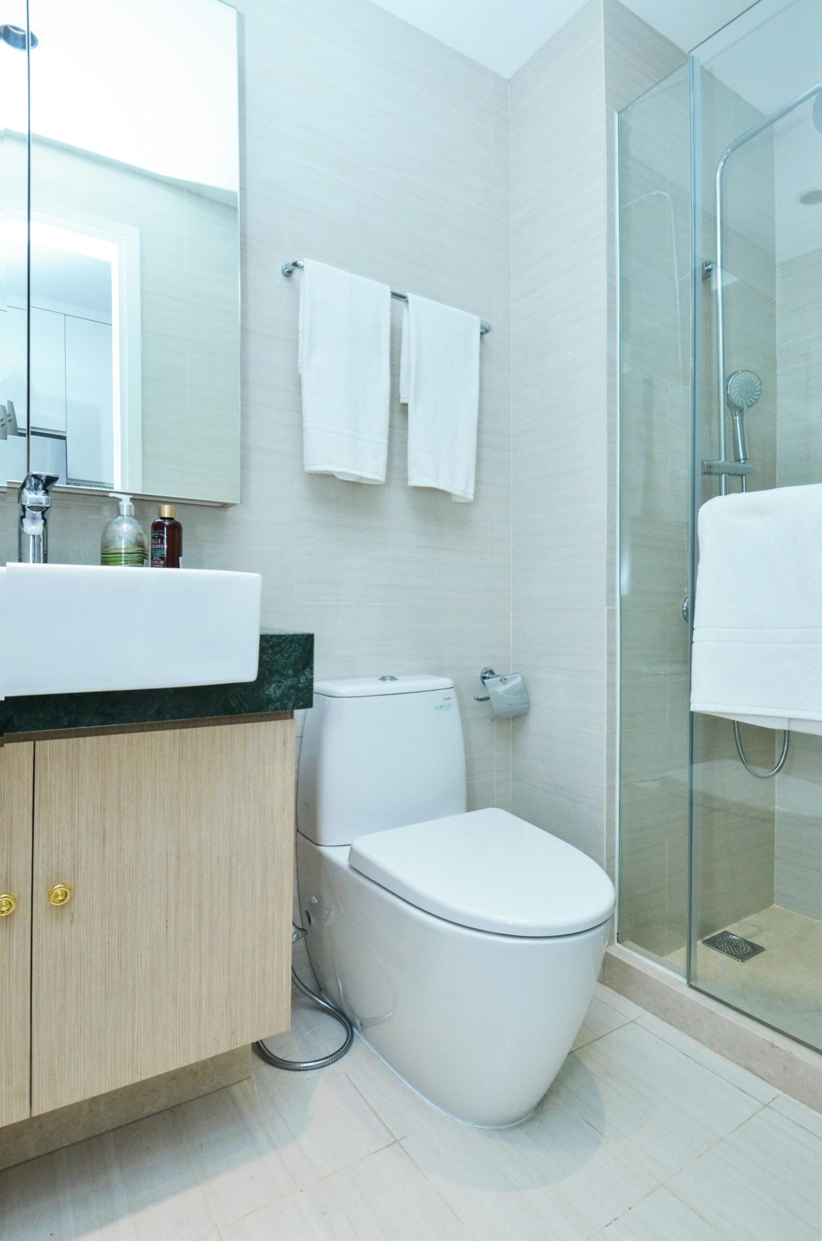 Top Styles and Features for Purchasing a Toilet
